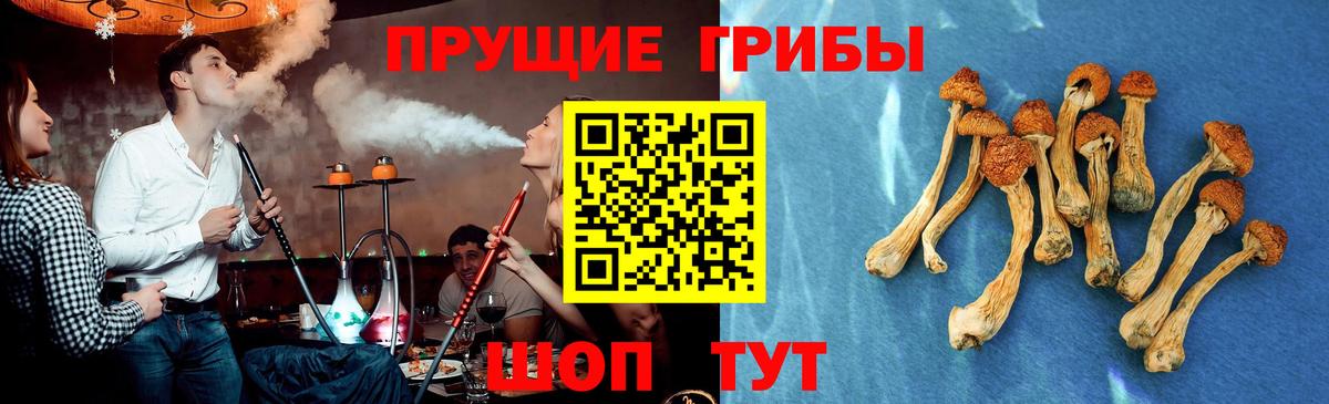 Галлюциногенные грибы мухоморы Белорецк